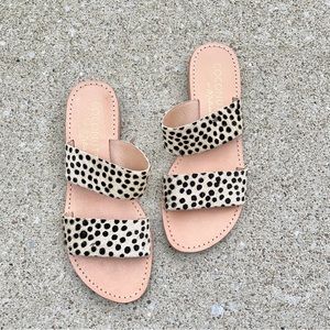 Coconuts by Matisse Leopard Sandals